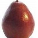 http://pietersappleyard.ca/wp-content/uploads/2017/06/Pear-Red-D-Anjou-1-130x130.jpg