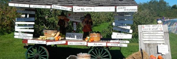 http://pietersappleyard.ca/wp-content/uploads/2017/07/Kris_Welcome_wagon500-300-600x200.jpg