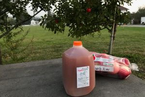 raw apple cider