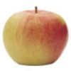 http://pietersappleyard.ca/wp-content/uploads/2025/07/JonaGold-100x100.jpg