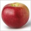 http://pietersappleyard.ca/wp-content/uploads/2025/07/Macoun-100x100.jpg