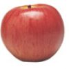 http://pietersappleyard.ca/wp-content/uploads/2025/07/NorthenSpy-100x100.jpg