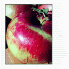 http://pietersappleyard.ca/wp-content/uploads/2025/07/Wealth-100x100.gif